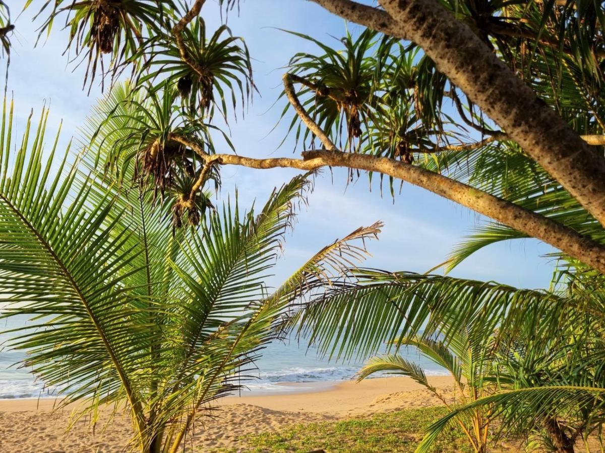 Golden Beach Paradise Tangalle Dış mekan fotoğraf